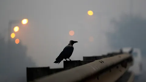 ยูนิเซฟเผย เด็ก 2 พันล้านสูดอากาศพิษ เสียชีวิตปีละ 6 แสนทั่วโลก