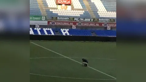 ฮือฮา! แฟนบอลวัยดึก ฉุนอริ ย่องขี้กลางสนาม ยังไม่สุดโดนรวบก่อน