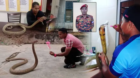 เจอแล้ว! เผยโฉมหนุ่มกินนอนกับงูจงอาง ลือสนั่นโซเชียลคนแต่งงานกับงู (ชมคลิป)