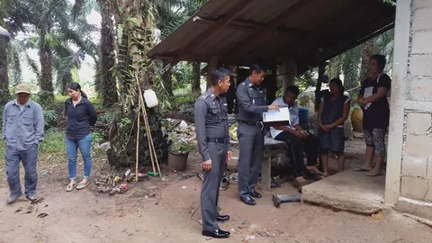 สลด! ด.ช.เมียนมา 5 ขวบ วิ่งพรวดข้ามถนนชุมพร ไม่รอป้า ถูกกระบะชนดับ