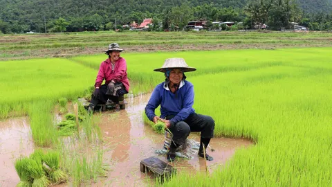 ความอยู่ดีมีสุขในพื้นที่พิเศษล้นทะลัก
