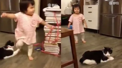 แสบไม่ใช่เล่น! คลิปเจ้าเหมียวขี้แกล้ง ขัดขาหนูน้อยเดินสะดุดล้ม