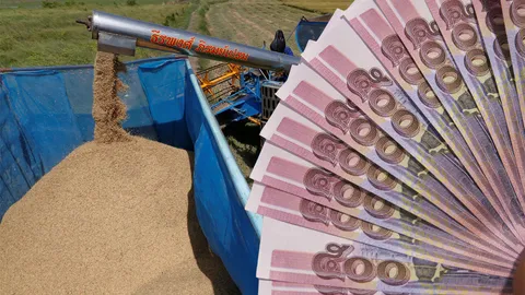 ธ.ก.ส.พร้อมหนุนสินเชื่อชะลอขายข้าวขึ้นยุ้งฉางรับเงินตันละ 1.3 หมื่น