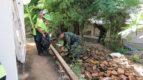 เทศบาลเชียงใหม่ ระดมกำลัง จนท.บิ๊กคลีนนิ่งเดย์ กำจัดลูกน้ำยุงลาย