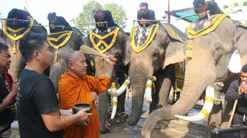 พระอาจารย์แดง ปัดเสนียดช้าง 11 เชือก ก่อนเข้าสนามหลวงสักการะพระบรมศพ