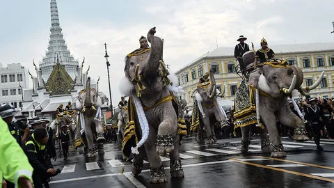 แห่คชสารรำลึกอลังการ แต่งขบวนช้างทำท่าถวายบังคมอาลัยในหลวง ร.9