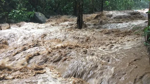 ฝนถล่มเชียงใหม่ น้ำป่าหลากรุนแรง สั่งปิดน้ำตกตาดหมอก อ.แม่ริม