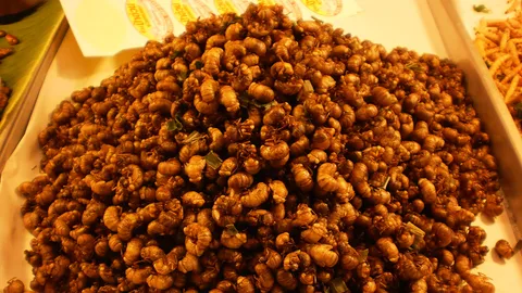 รู้ยัง ถั่งเช่าเมืองไทย! ขายตลาดทุ่งเกวียน กก.3 พัน โด๊ปเพิ่มพลังเพศ