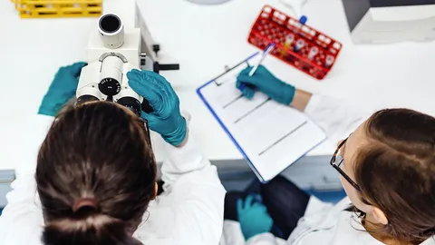 เดนมาร์กตั้งศูนย์ค้นคว้าวิจัยนวัตกรรมด้านอาหาร เลี้ยงประชากรโลก