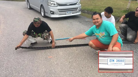 เมื่อ ‘จงอาง’ขอติดรถตู้เข้าเมือง แต่คนกลับถาม รถพี่ทะเบียนอะไร(ชมคลิป)