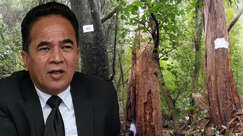 เริ่มเขียนแบบพระเมรุมาศ ช่างสิบหมู่แกะลวดลายประดับ ทำด้วยไม้จันทน์หอม