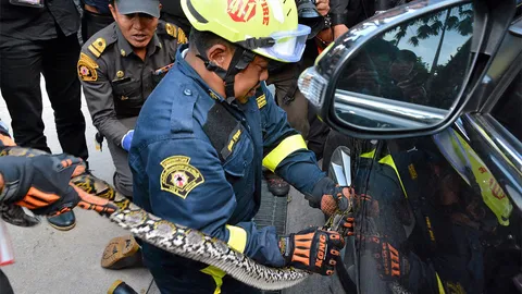 งูโผล่ทำเนียบฯ