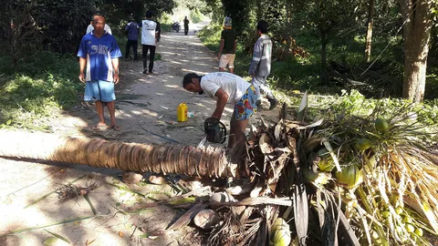 ช้างป่าอาละวาด ทำลายพืชสวน-ล้มเสาไฟ ชาวบ้านเดือดร้อนหนัก