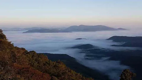 อากาศที่เลย เช้านี้หนาวสะท้าน ยอดภูดัง ทะเลหมอกหนาทึบ ตรึงใจ นทท.