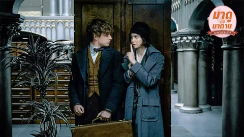 ฮีโร่คนใหม่แห่งโลกเวทมนตร์