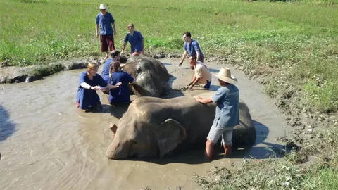 นทท.สุขใจ! เที่ยวเชียงใหม่ บอก 'อเมซิ่ง' ใส่ชุดม่อฮ่อม ทำ 'สปาช้าง'