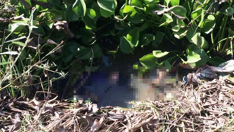 หนุ่มใหญ่ชัยนาท ตายคาบ่อน้ำ คาดอริที่เคยร่วมปักเบ็ด ลงมือฆ่า