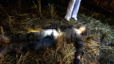 ปืนแก๊ปลอบส่อง ฆ่าศัตรูหัวใจ ยิงหนุ่มนครไทย ดับคาทุ่งนาขณะหาเขียด 