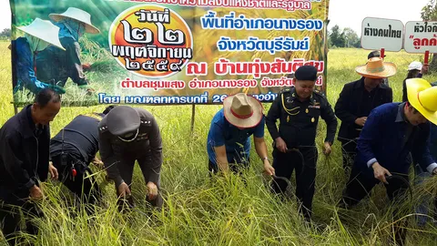 ชาวนา อ.นางรอง มอบข้าวเปลือก 12 ไร่ โรงทานท้องสนามหลวงถวายราชกุศล  