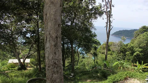 ศึกชิงที่ดินหาดฟรีดอม ภูเก็ต ค่า3พันล้าน เจ้าของโฉนดขู่ฟ้องกรมที่ดิน  