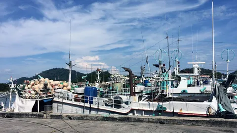 ศรชล.เขต 3 ยึดเรือประมง 7 ลำอ้างสัญชาติโบลิเวีย เข้าเทียบท่าผิด ก.ม.