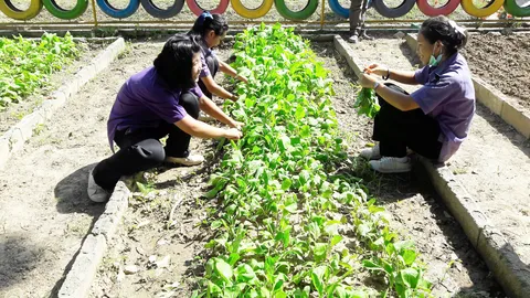 ปลูกผัก บำรุงดิน ตามรอยพ่อ วิถีนักเรียนทุนส่วนพระองค์