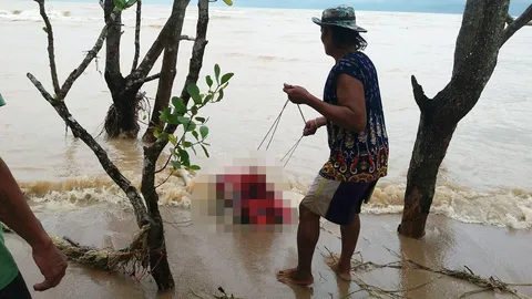 พบศพหญิงลอยเกยหาดละแม คาดเป็นผู้สูญหายจากเหตุเรือล่มเกาะเต่า
