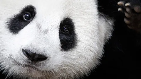 โลกาภิวัตน์ 08/12/59