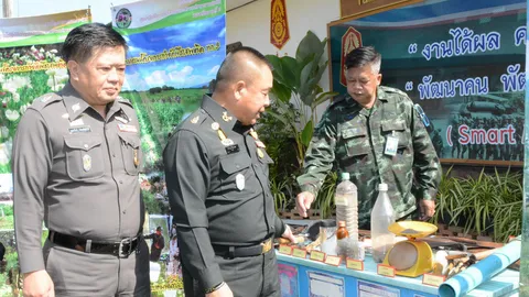 มทภ.3 โชว์แผนการควบคุม และตัดทำลายไร่ฝิ่นพื้นที่เชียงใหม่