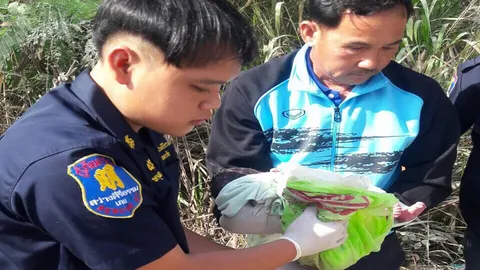 พบเด็กทารกถูกทิ้งกองขยะบ้านหนองหญ้าปล้อง วังสะพุง คาดเป็นฝีมือสาวใจแตก