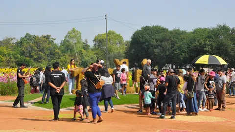 นทท. แห่เที่ยว 'โบอิ้งแลนด์' สถานที่ท่องเที่ยวโฉมใหม่ เมืองโคราช