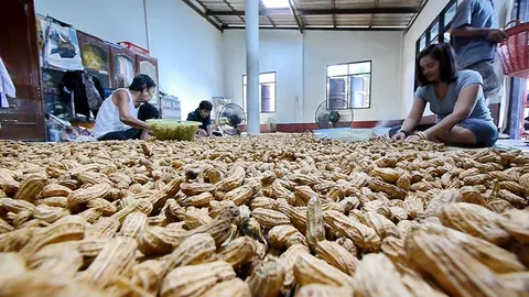 บุกบ้าน ‘ป้าทับทิม’ ถั่วต้มเงินล้าน เผยเคล็ดไม่ลับ ต้มถั่วให้นิ่มอร่อย