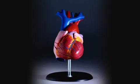 "โฮโมซีสทีน" อีกตัวการก่อให้เกิดโรคหัวใจขาดเลือดและอัมพาต