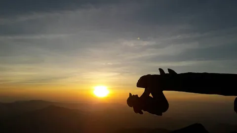 ชอบมาก..เลย.. "ผาหลอกลวง" ภูบักได อ.ภูเรือ โหนก้อนหินเหมือนจะร่วงลงเหว