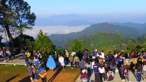 ททท.เพชรบุรี ชวนหนาวนี้ที่เขาพะเนินทุ่ง 'ชมทะเลหมอก-สู้ลมหนาว'สวยจับใจ