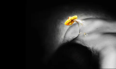 Art Thesis Exhibition ผลงานล่าสุดจากนศ.ไทยทั่วประเทศ