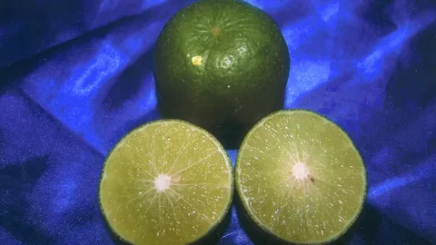 “มะนาวแป้นสุขประเสริฐ” ดังไม่หยุดดกทั้งปี