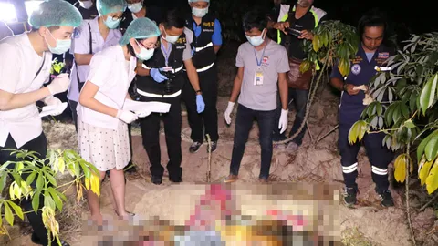 พบศพชายปริศนา กลางไร่มันสำปะหลัง ที่ฉะเชิงเทรา