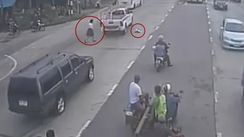 แห่ชื่นชม! นร.สาว ช่วยสุนัขถูกรถชนกลางสี่แยกเซ้าซี้ แต่สุดท้ายไม่รอด 