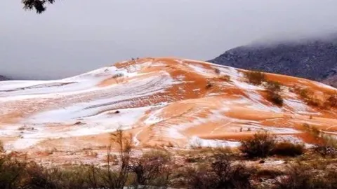 ไม่อยากเชื่อสายตา หิมะตกทะเลทรายซาฮารา ครั้งแรกในรอบ 37 ปี