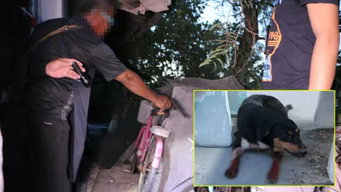 ลุง61เจอ2ข้อหา ยิงหมาจรจัด แค้นกัดไก่ชนราคาแพง ซัดด้วยลูกซองสั้น