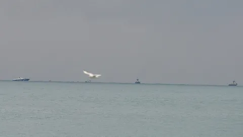 รัสเซียร่ำไห้อีก! เจอซากเครื่องบินกองทัพตกแล้ว กู้ศพแรกขึ้นจากทะเล