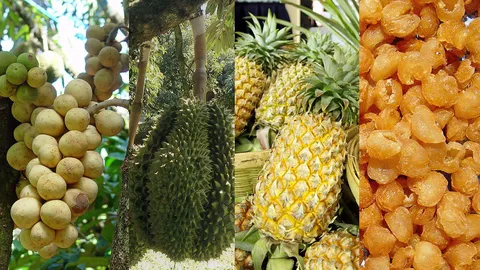 ขึ้นทะเบียนลองกอง-ทุเรียน-สับปะรด-ลำไยอบแห้ง 4 จังหวัด เป็นสินค้าจีไอ
