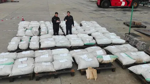 จีนยึดเกล็ดตัวนิ่มล็อตใหญ่หนัก 3 ตัน ในเซี่ยงไฮ้