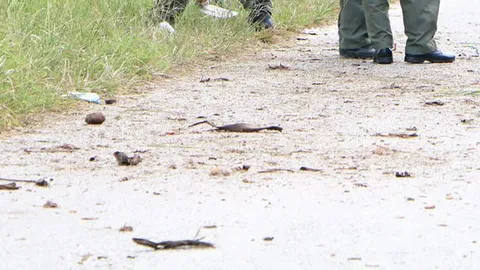 โจรใต้เหิมลอบวางระเบิดรถตราโล่ที่รือเสาะ ตร.รอดหวุดหวิด