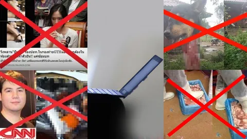 ปั่นป่วนปี 59 เว็บปลอม เพจลวง ระบาด! พาดหัวกุข่าวมั่ว ชาวเน็ตชีช้ำ เงิบซ้ำแล้วซ้ำอีก