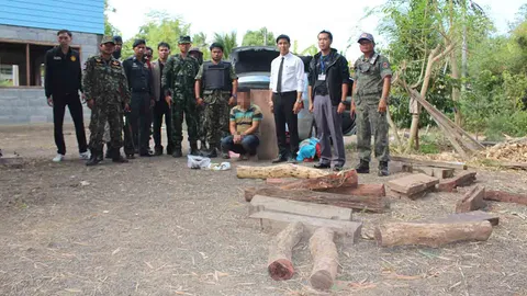 ชุดเฉพาะกิจครบุรี โคราช จับขบวนการลับตัดแก๊งไม้พะยูง ขายให้นายทุน