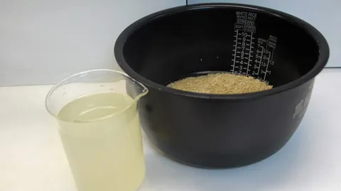 หุงข้าวน้ำประปาไร้มะเร็ง