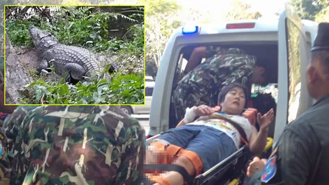 ถูกไอ้เข้งับ