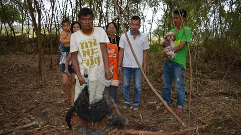 หมาตายเอามายัดถังขยะ! ชาวบ้านฝากด่า คนเลี้ยงคิดได้ไง ไร้จิตสำนึก 